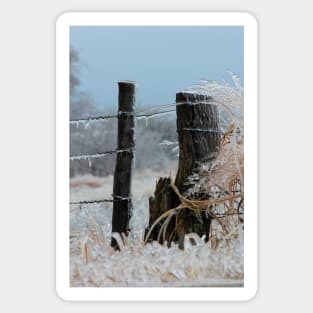 Ice Covered Fence Sticker